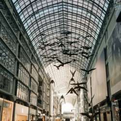 Inside a building with a glass caved ceiling with plastic birds hanging from the ceiling.