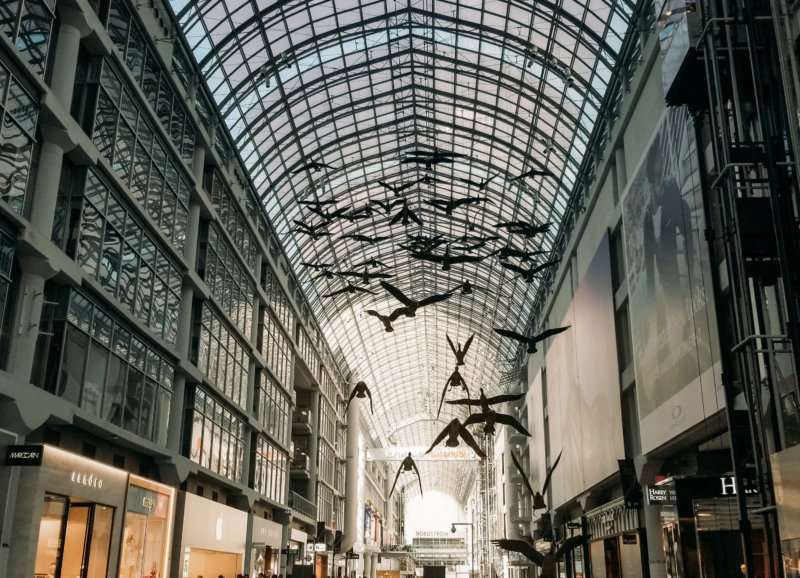 Inside a building with a glass caved ceiling with plastic birds hanging from the ceiling.