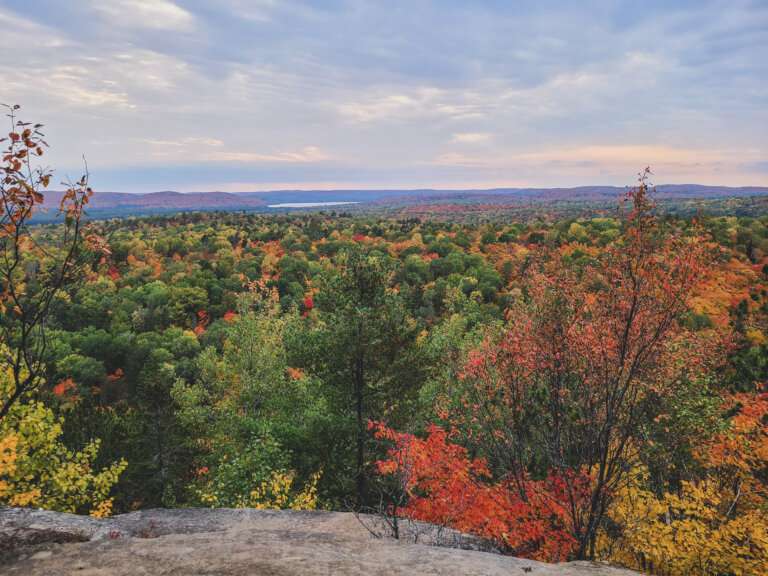 Algonquin Provincial Park with bright colors of red, orange and yellow trees of a forest with a small pond in between from a cliff top view with the blue sky above