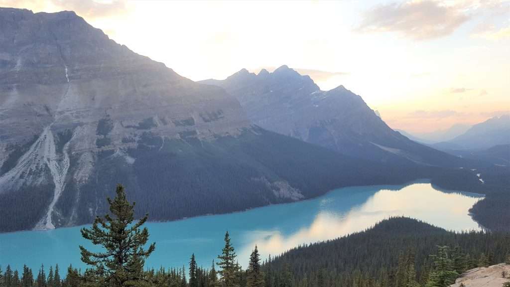 peyto lake in alberta, banff national park which shows blue waters and moutain background