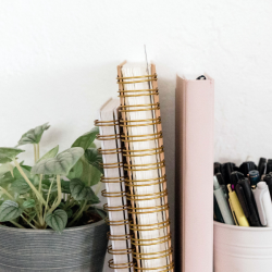 a plant, 2 spiral notebooks, a pink book spine and a jar with pens to signify manifestation bullet journaling