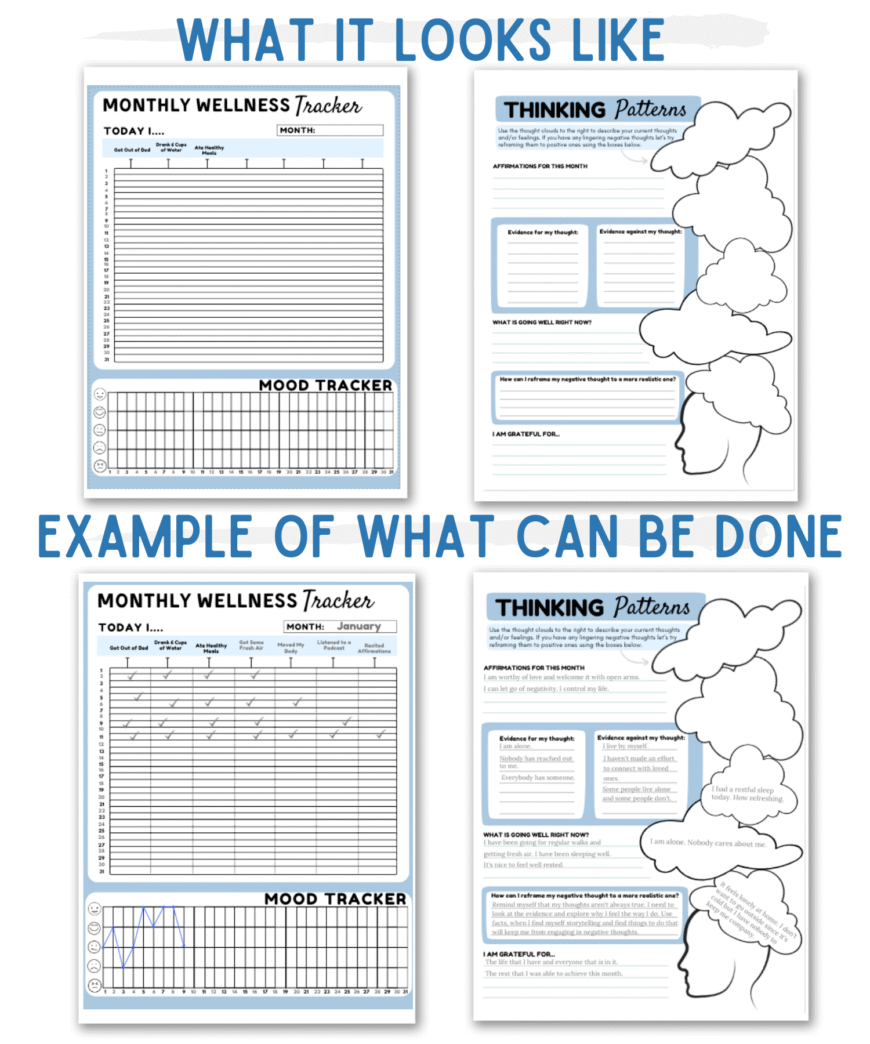 Seasonal Wellness Tracker - Image 4