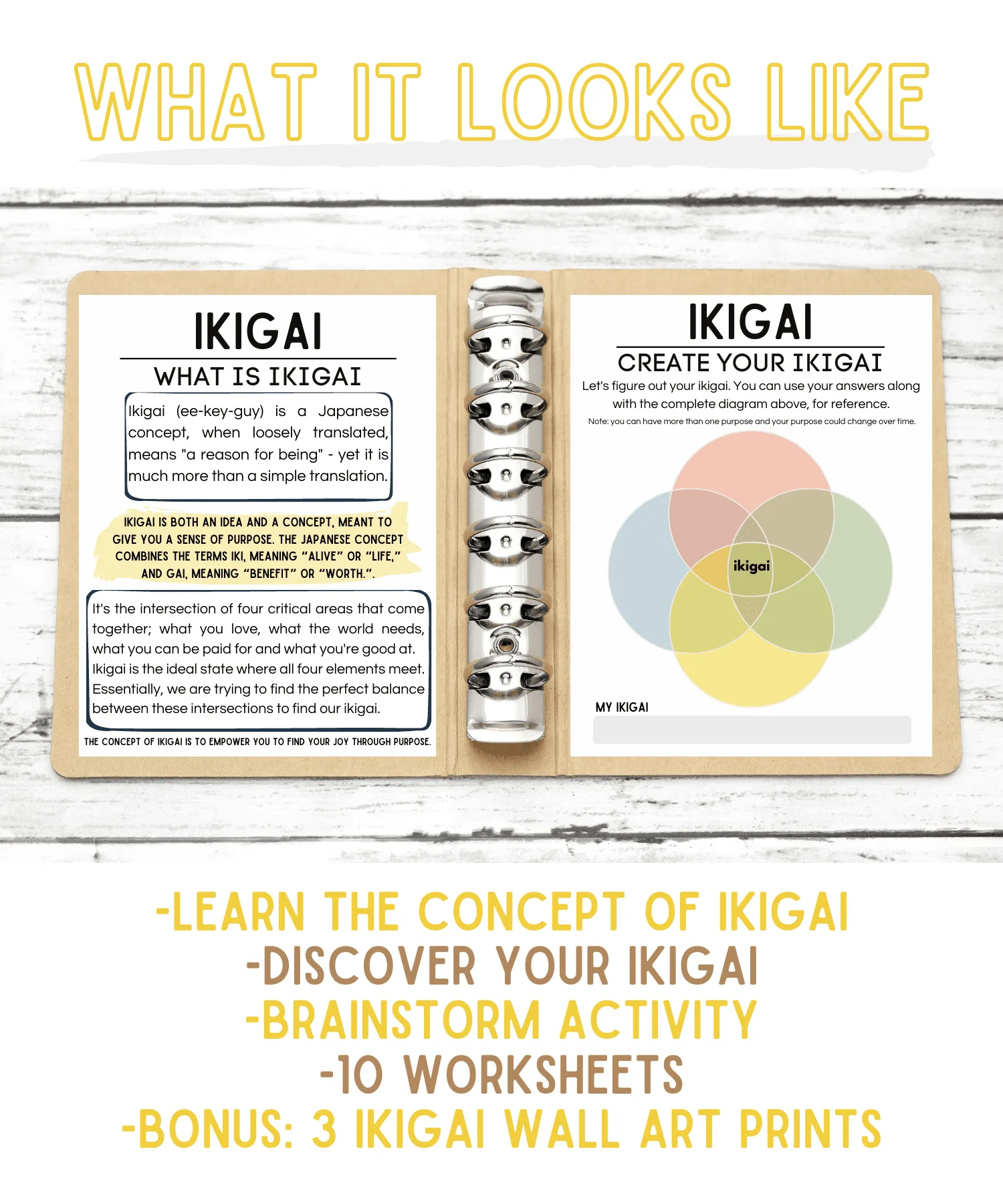 Find Your Ikigai Worksheets - Image 2
